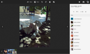 Google+ Photos - Photo +1s View