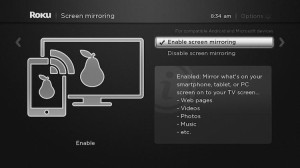 roku set up