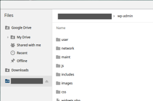 Your SFTP server sits alongside Google Drive