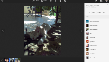Google+ Photos - Photo +1s View