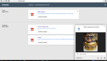 chrome os download notificaitions